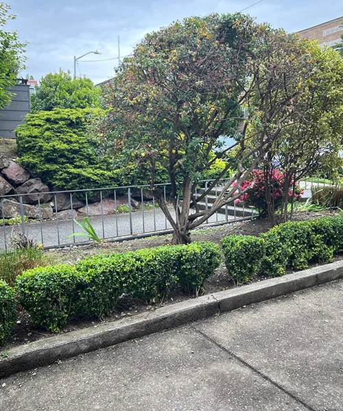 Landscape Maintenance in Kent 